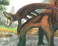 In the gaping mouth of ancient crocodiles