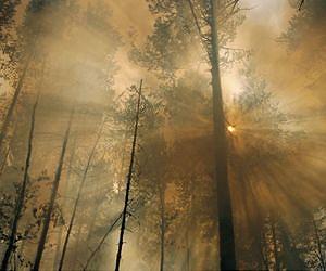 Satellite Sees Smoke from Siberian Fires Reach the U.S. Coast