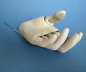 Research aims at prosthetic arms with natural-like touch