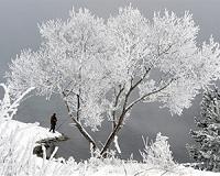 Icy blast from Siberia sweeps across Europe