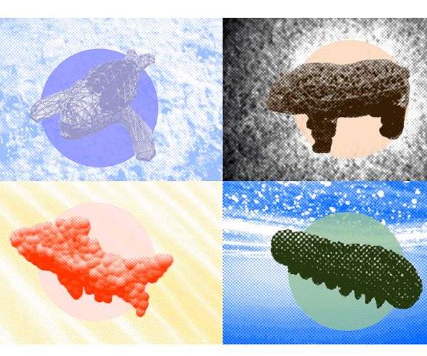 Open-source platform simulates wildlife for soft robotics designers