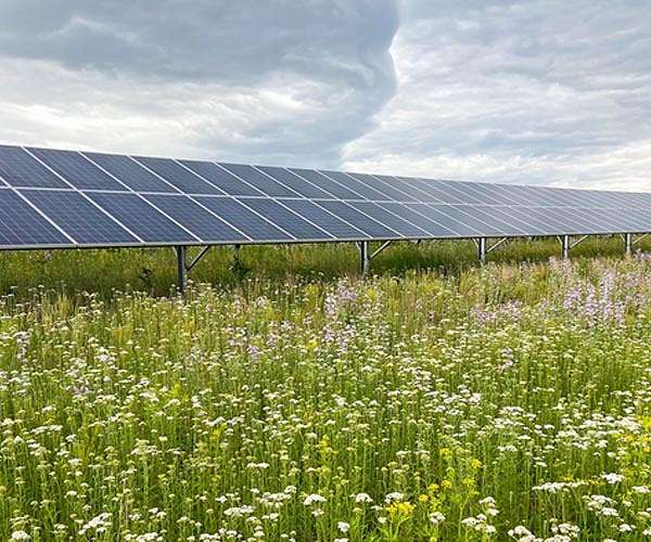 Research shows how solar arrays can aid grasslands during drought