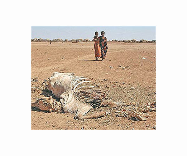 One million people displaced by drought in Somalia: UN