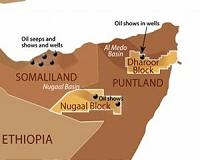 Taiwan to swap office with breakaway state Somaliland