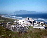 S. Africa to finalize nuclear procurement process by end of this year