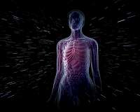 Virtual reality enables real-time, internal view of patient anatomy during treatment