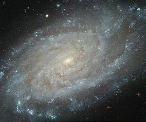 Reverence For The Heavens