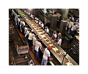 WTO sets up panel to rule on Mexico-US tuna label feud