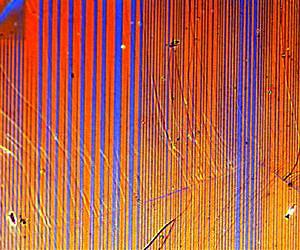 Resistivity switch is window to role of magnetism in iron-based superconductors