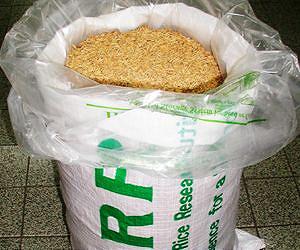 Super Bags to thwart rice wastage now available to Filipino farmers
