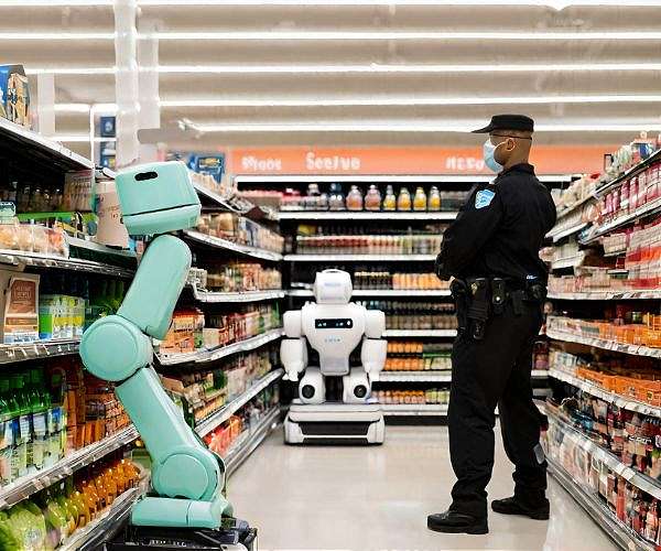 Robots build self models using simple 2D cameras for autonomous control