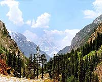 Militant stronghold cleared in Swat offensive: Pakistan