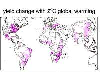 Warmer climate will dramatically increase the volatility of global corn crops