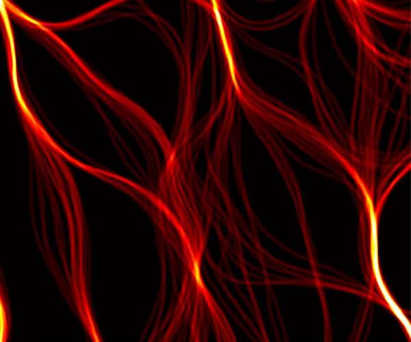 Revealing the thermal heat dance of magnetic domains