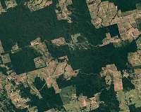 Brazilian Amazon deforestation hits new record in May