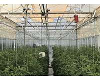 NASA awards UbiQD 2nd contract to Tailor the Solar Spectrum for Enhanced Crop Yield for Space Missions