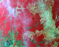DMCii Satellite Imaging Monitors Indonesian Forests
