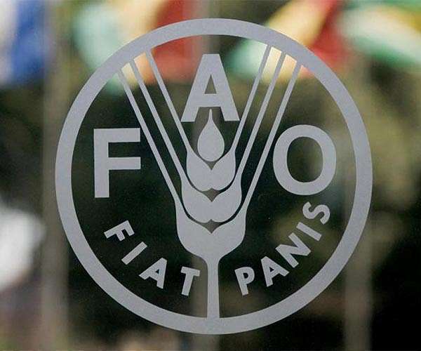 Disasters cause $3.8 trillion in crop losses over 30 years: FAO
