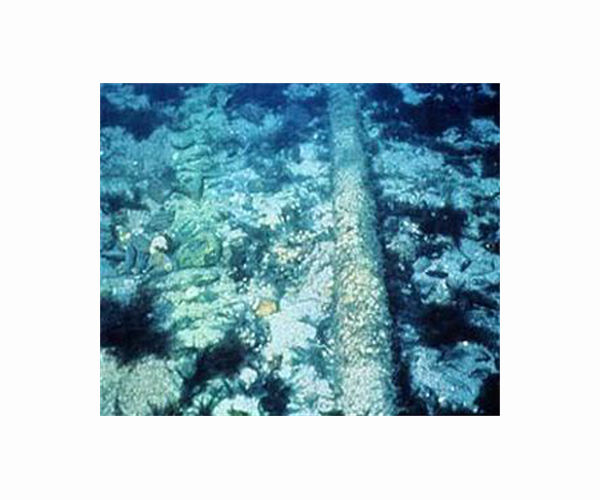 Tonga back online as undersea cable repaired