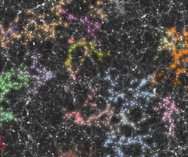 Nuclear timekeeping may reveal hidden traits of dark matter