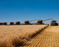 'It's kind of glum': US farmers worry as crop prices dip