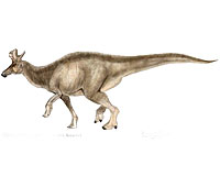 Did Dinosaurs Survive The End Cretaceous Extinctions