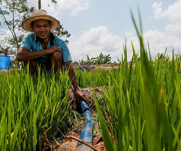 Vietnam farmers lose their blooms as floods claim crops
