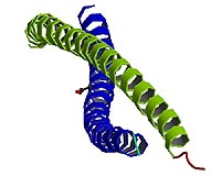 Determining The Workings Of A Potentially Useful Virus