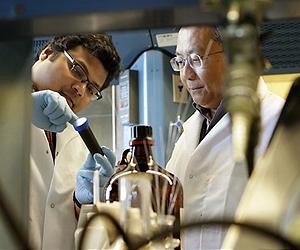 Cells Earn Prominent Position Within South Korean Renewable Portfolio Standard Pricing Mechanism