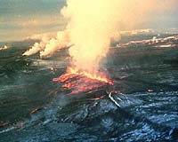 Ancient eruption killed off world's sea life: scientists