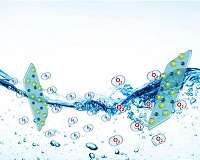 Harnessing sunlight to pull hydrogen from wastewater