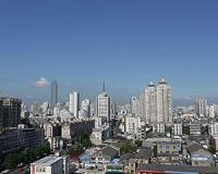 To adapt to cities, birds must grow their brains or grow their families