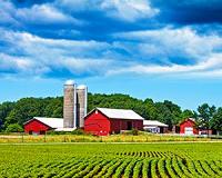 Plant communities produce greater yield than monocultures