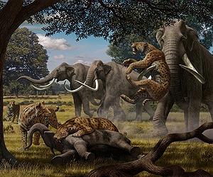 The Woolly Mammoth And Saber-Toothed Cat Wipeout