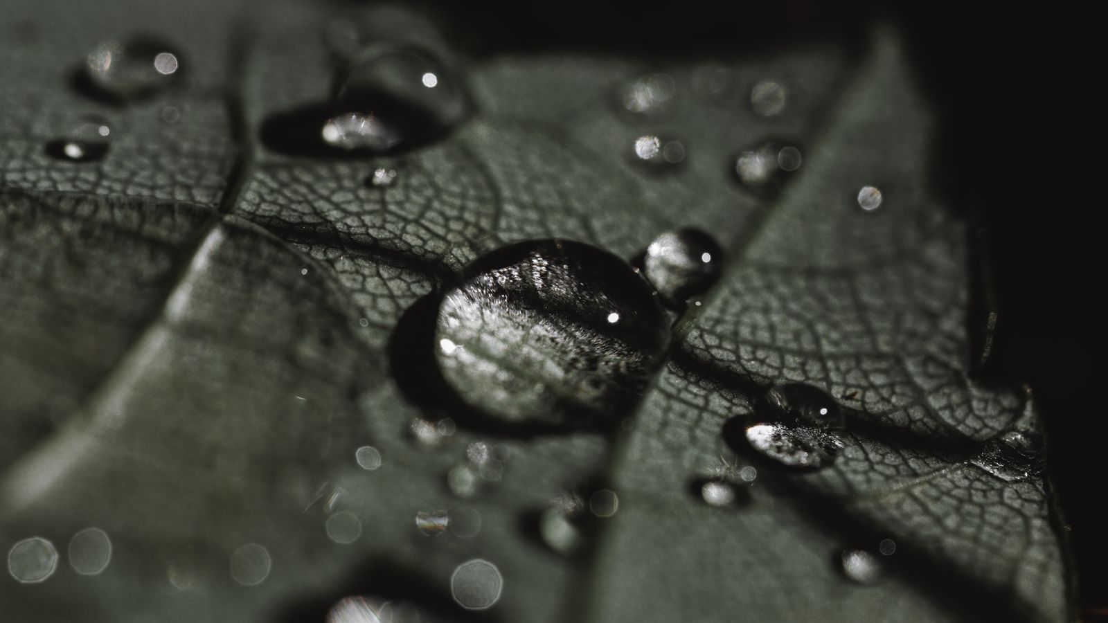 cloud droplets microscope