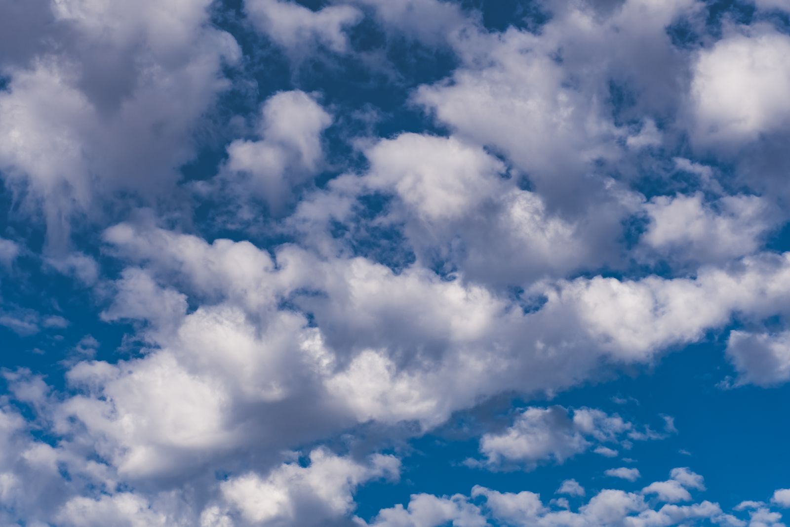 cumulus cloud summer sky