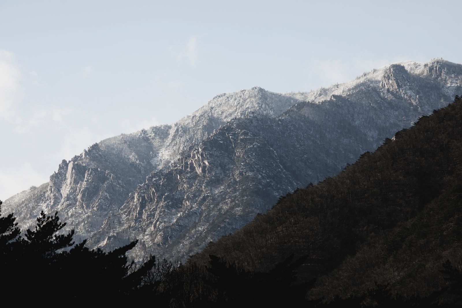 Korean mountain forest