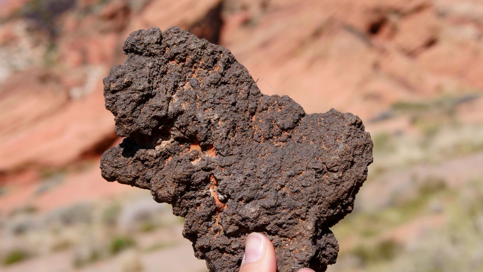 Murchison meteorite fragment