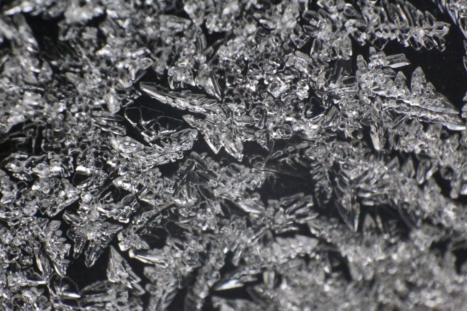 silicon carbide crystal microscope