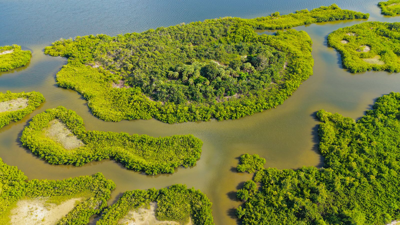Sundarbans mangrove aerial