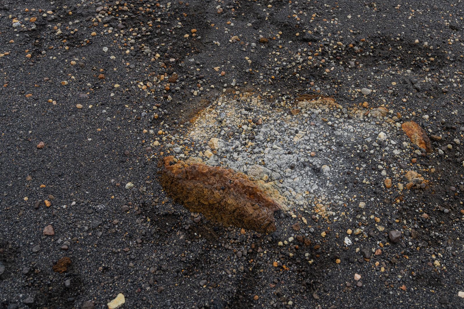 The Murchison meteorite that fell on a Victorian farming town in 1969 contains silicon carbide stardust that formed in the outflows of dying stars up to 7 billion years ago, making it older than the Sun itself by roughly 2.5 billion years