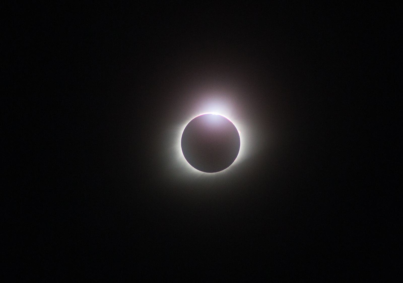 total solar eclipse corona