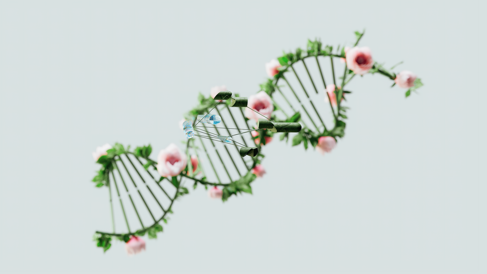 DNA double helix model