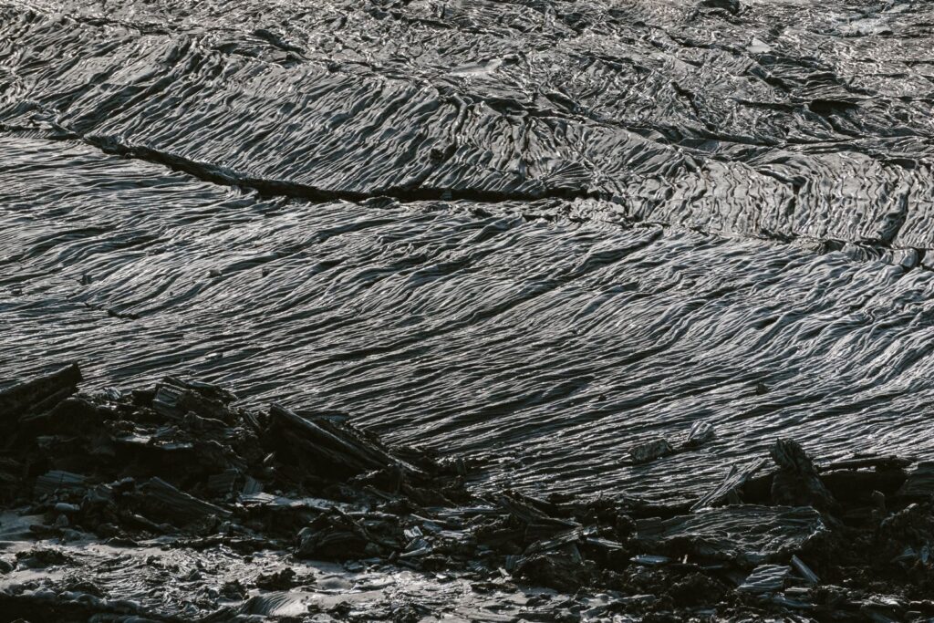 How did a treeless volcanic island in the North Atlantic, stripped of its birch forests by Viking axes over a thousand years ago, begin clawing woodland back onto slopes of black ash and wind?