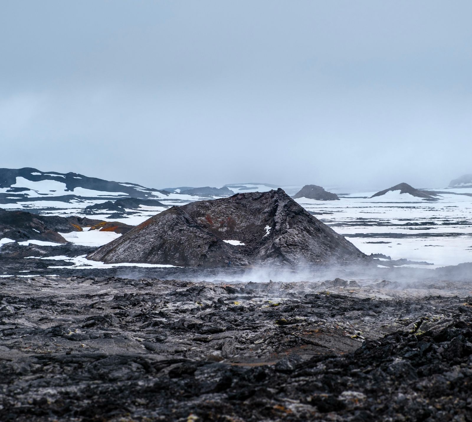 Sitka spruce Iceland lava field