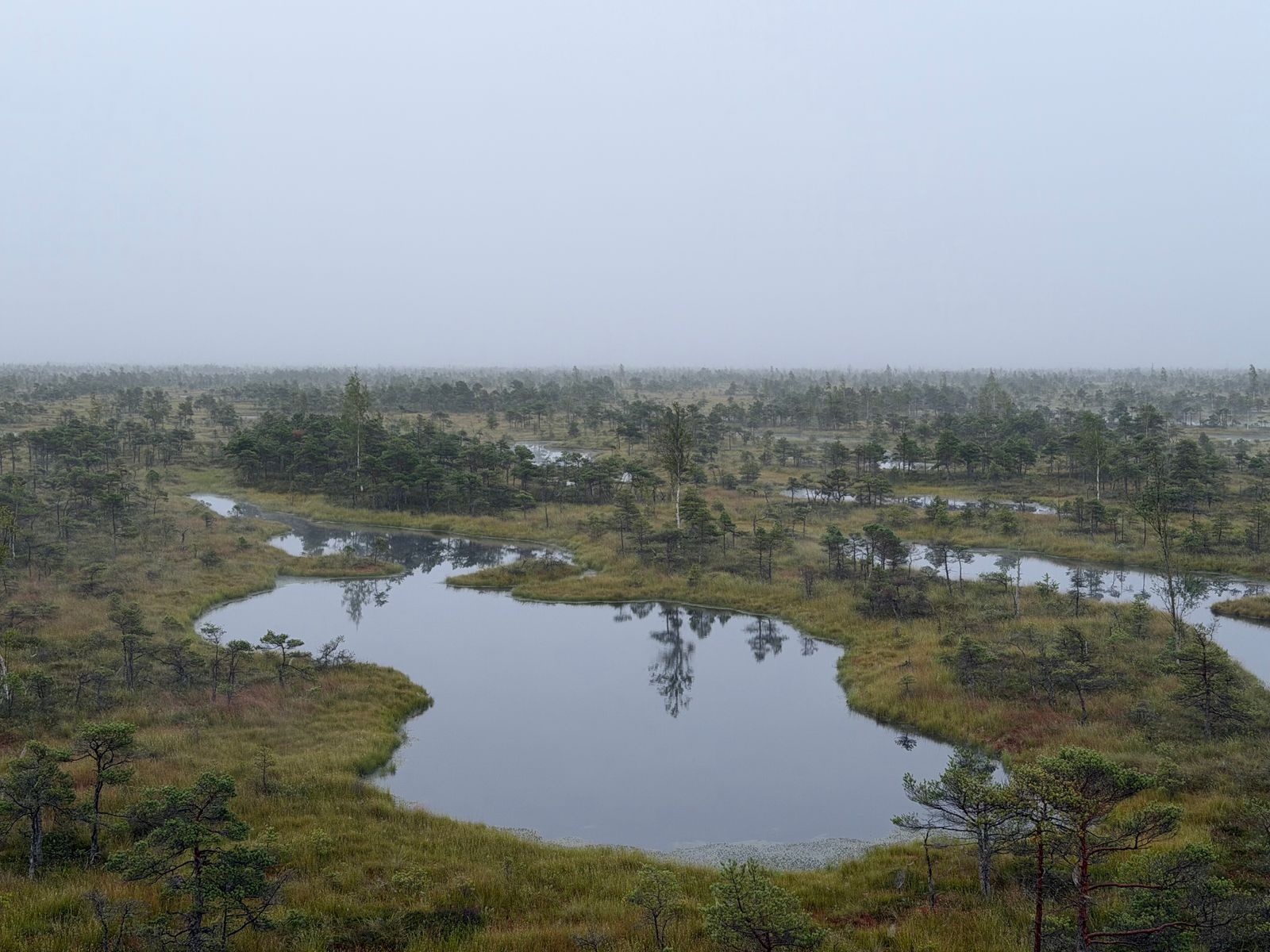 How did a Southeast Asian archipelago, after choking its neighbours in haze for weeks during severe dry seasons, begin plugging a 4,000-kilometre drainage network cut through peat swamps decades earlier by a failed rice scheme?